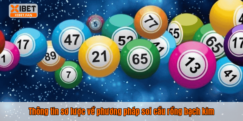 Thông tin sơ lược về phương pháp soi cầu rồng bạch kim