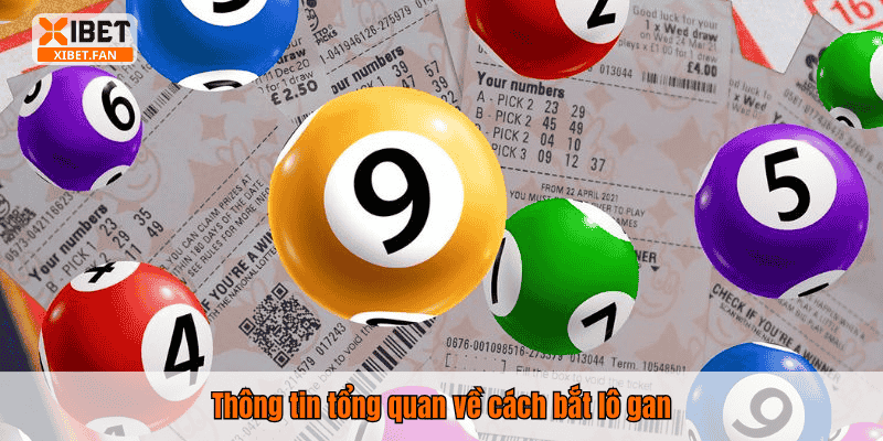 Thông tin tổng quan về cách bắt lô gan