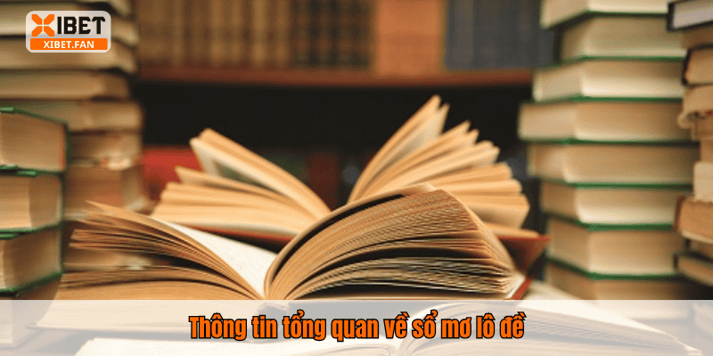 Thông tin tổng quan về sổ mơ lô đề