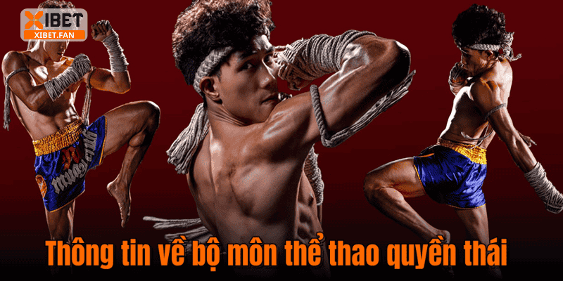 Thông tin về bộ môn thể thao quyền thái