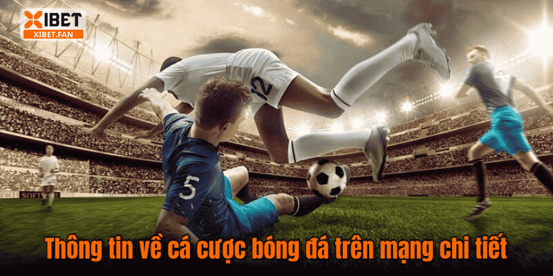 Thông tin về cá cược bóng đá trên mạng chi tiết
