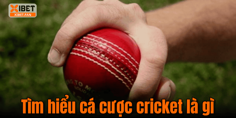 Tìm hiểu cá cược cricket là gì