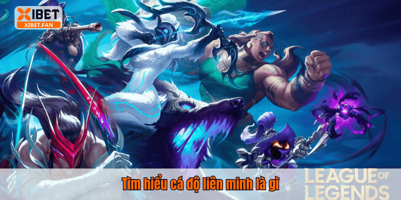 Tìm hiểu cá độ liên minh là gì