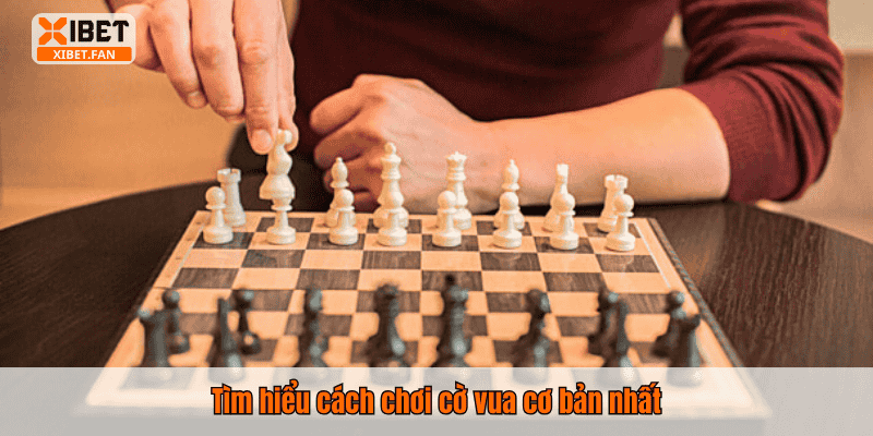 Tìm hiểu cách chơi cờ vua cơ bản nhất