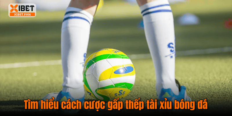 Tìm hiểu cách cược gấp thếp tài xỉu bóng đá