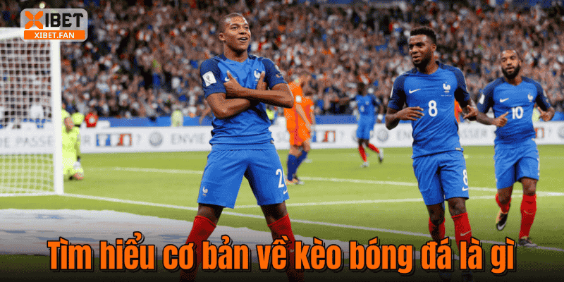 Tìm hiểu cơ bản về kèo bóng đá là gì
