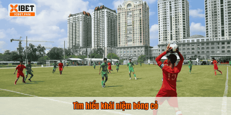 Tìm hiểu khái niệm bóng cỏ