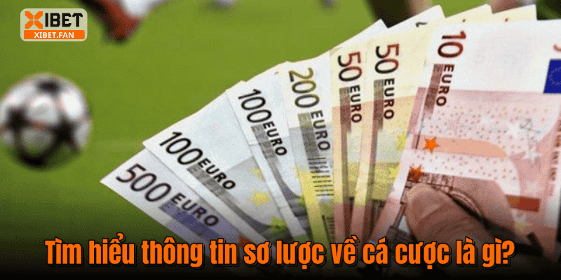 Tìm hiểu thông tin sơ lược về cá cược là gì?