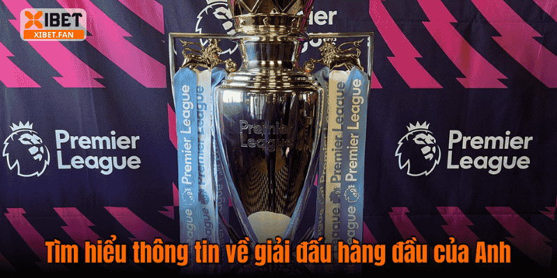 Tìm hiểu thông tin về giải đấu hàng đầu của Anh