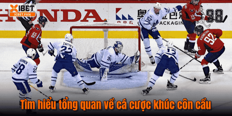 Tìm hiểu tổng quan về cá cược khúc côn cầu