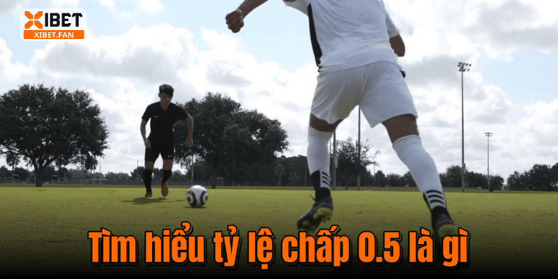 Tìm hiểu tỷ lệ chấp 0.5 là gì
