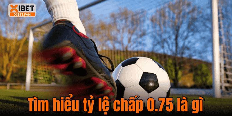 Tìm hiểu tỷ lệ chấp 0.75 là gì