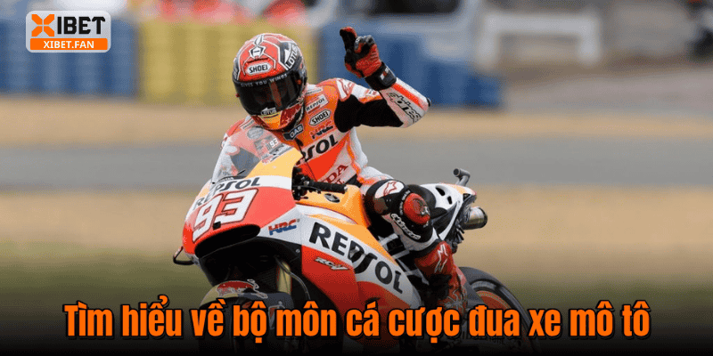 Tìm hiểu về bộ môn cá cược đua xe mô tô