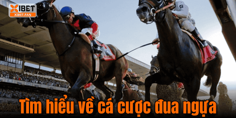 Tìm hiểu về cá cược đua ngựa