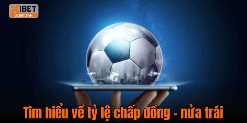 Tìm hiểu về tỷ lệ chấp đồng - nửa trái