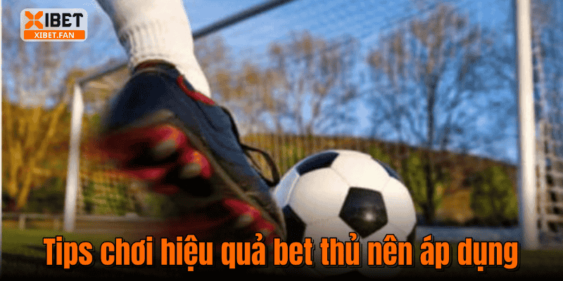 Tips chơi hiệu quả bet thủ nên áp dụng