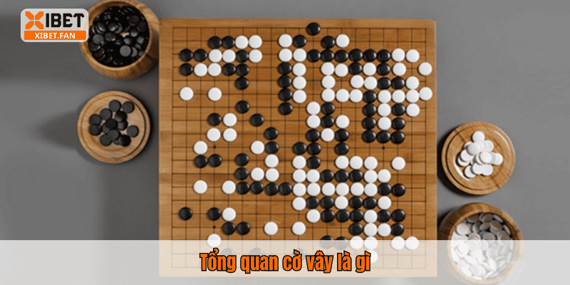 Tổng quan cờ vây là gì