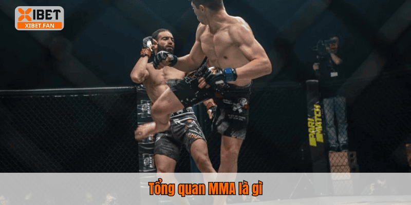 Tổng quan MMA là gì
