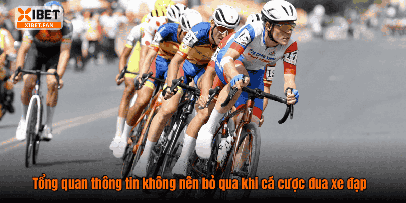 Tổng quan thông tin không nên bỏ qua khi cá cược đua xe đạp