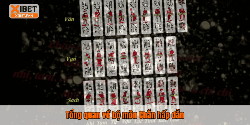 Tổng quan về bộ môn Chắn hấp dẫn
