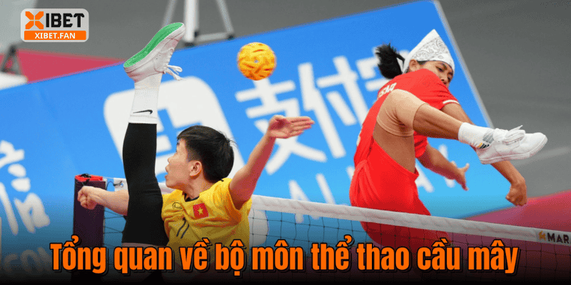Tổng quan về bộ môn thể thao cầu mây