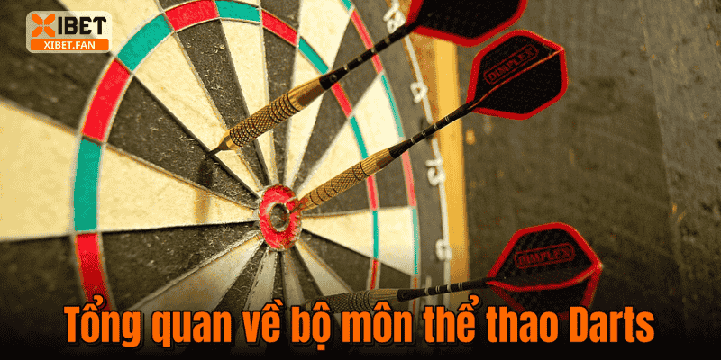 Tổng quan về bộ môn thể thao Darts