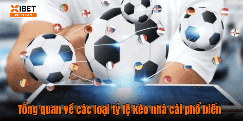 Tổng quan về các loại tỷ lệ kèo nhà cái phổ biến