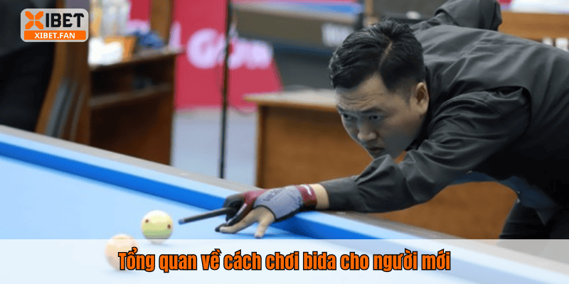 Tổng quan về cách chơi bida cho người mới