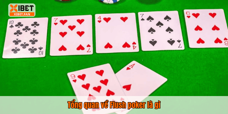 Tổng quan về Flush poker là gì