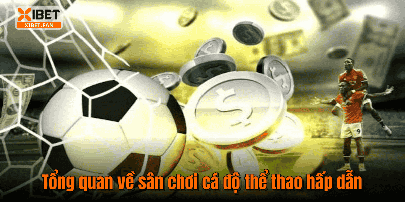 Tổng quan về sân chơi cá độ thể thao hấp dẫn
