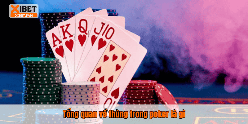 Tổng quan về thùng trong poker là gì