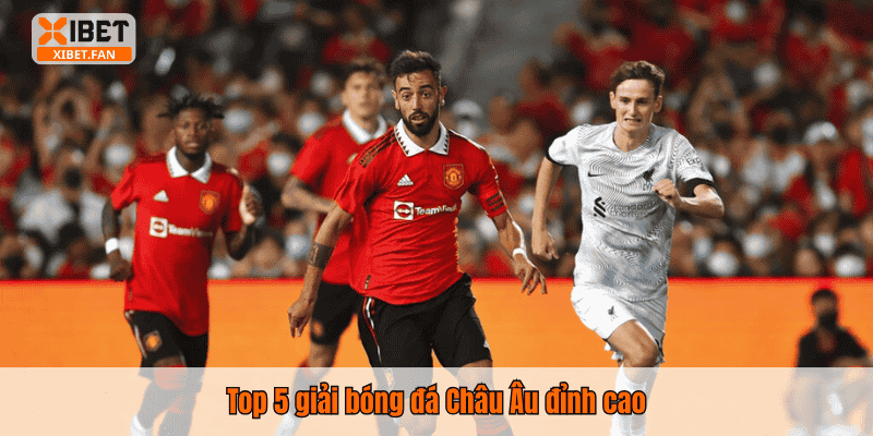 Top 5 giải bóng đá Châu Âu đỉnh cao