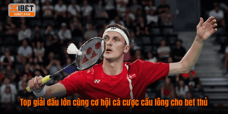 Top giải đấu lớn cùng cơ hội cá cược cầu lông cho bet thủ