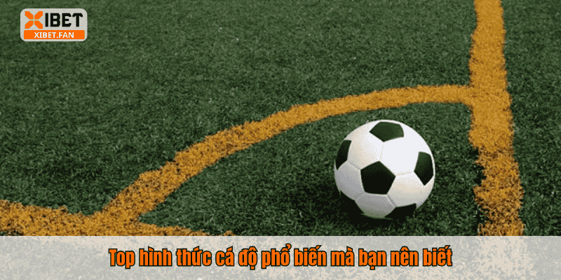 Top hình thức cá độ phổ biến mà bạn nên biết
