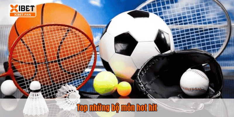 Top những bộ môn hot hit