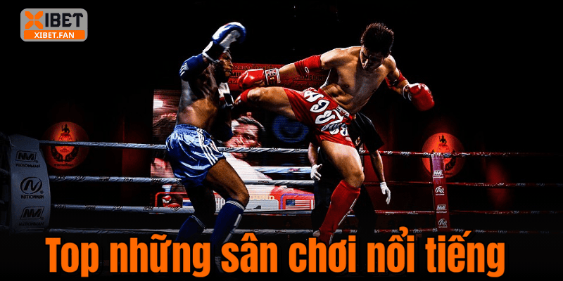 Top những sân chơi nổi tiếng
