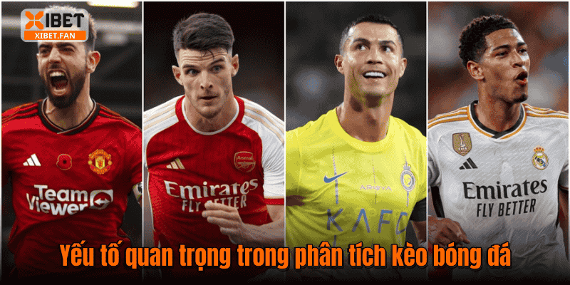 Yếu tố quan trọng trong phân tích kèo bóng đá