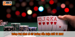 Thùng Phá Sảnh Là Gì? Hướng Dẫn Nhận Biết Từ XIBET