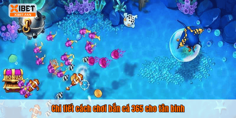 Chi tiết cách chơi bắn cá 365 cho tân binh
