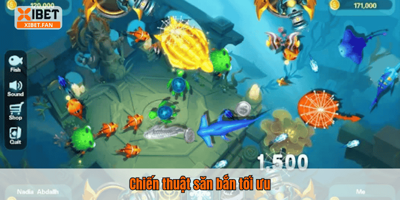 Chiến thuật săn bắn tối ưu