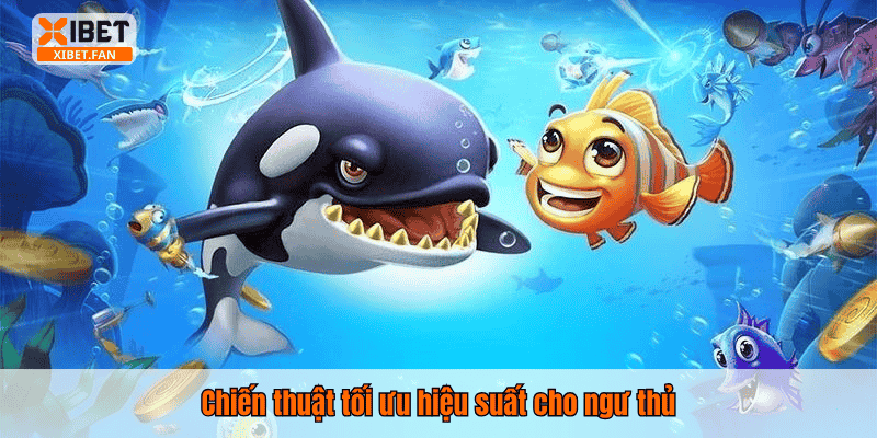 Chiến thuật tối ưu hiệu suất cho ngư thủ