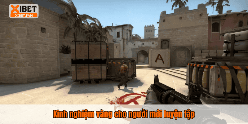 Kinh nghiệm vàng cho người mới luyện tập