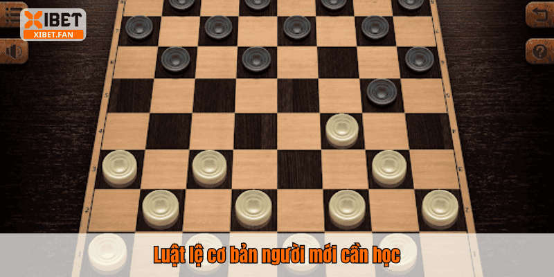 Luật lệ cơ bản người mới cần học