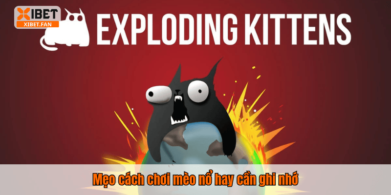 Mẹo cách chơi mèo nổ hay cần ghi nhớ