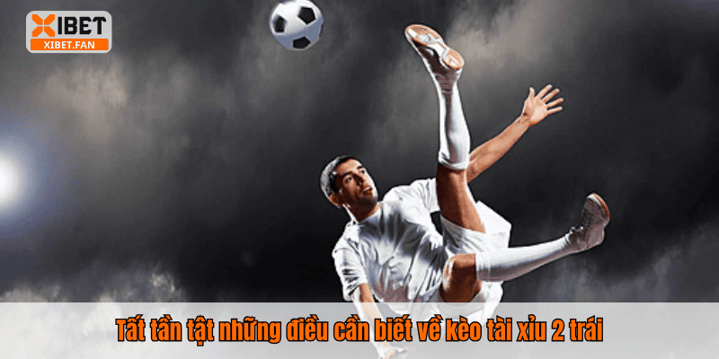 Tất tần tật những điều cần biết về kèo tài xỉu 2 trái