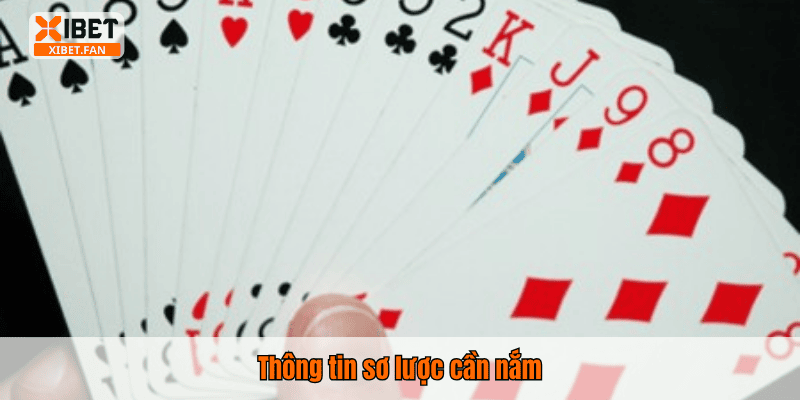 Thông tin sơ lược cần nắm