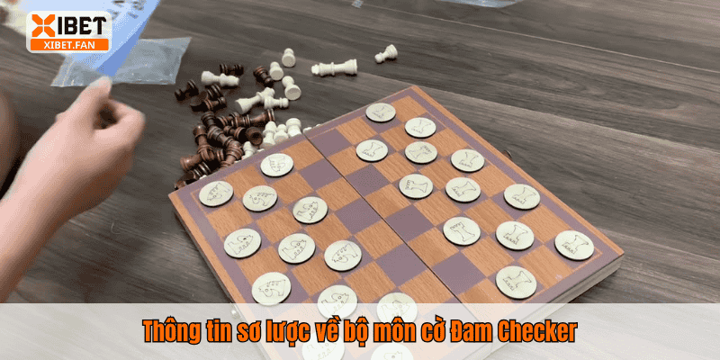 Thông tin sơ lược về bộ môn cờ Đam Checker