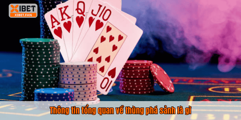 Thông tin tổng quan về thùng phá sảnh là gì