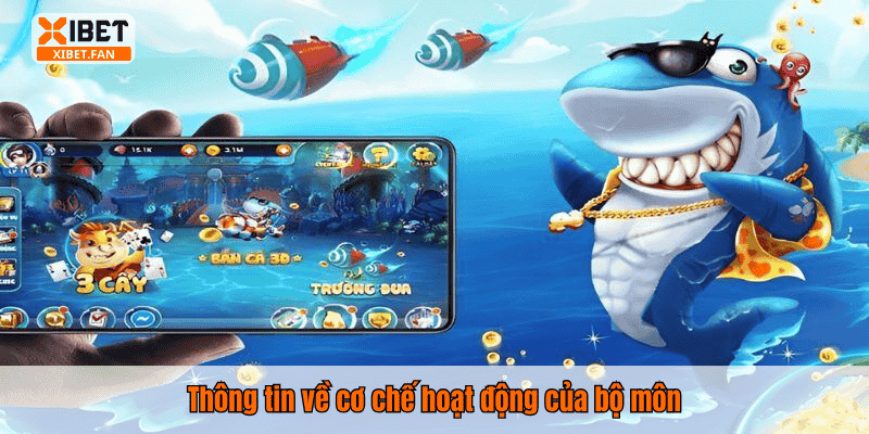 Thông tin về cơ chế hoạt động của bộ môn