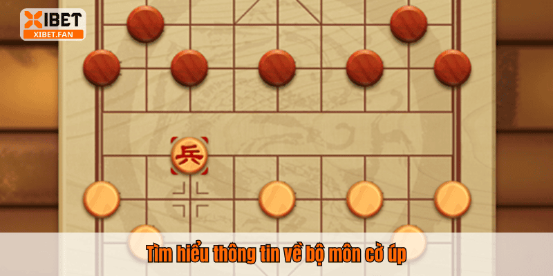 Tìm hiểu thông tin về bộ môn cờ úp